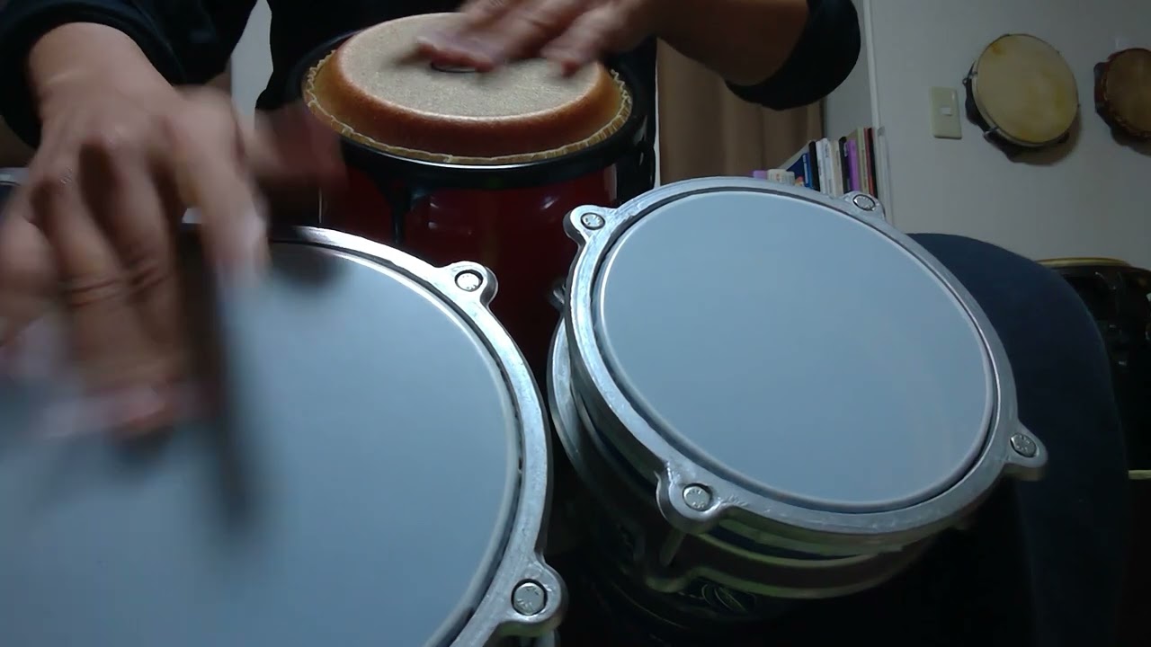 MIni conga ＆ Turkish bongo