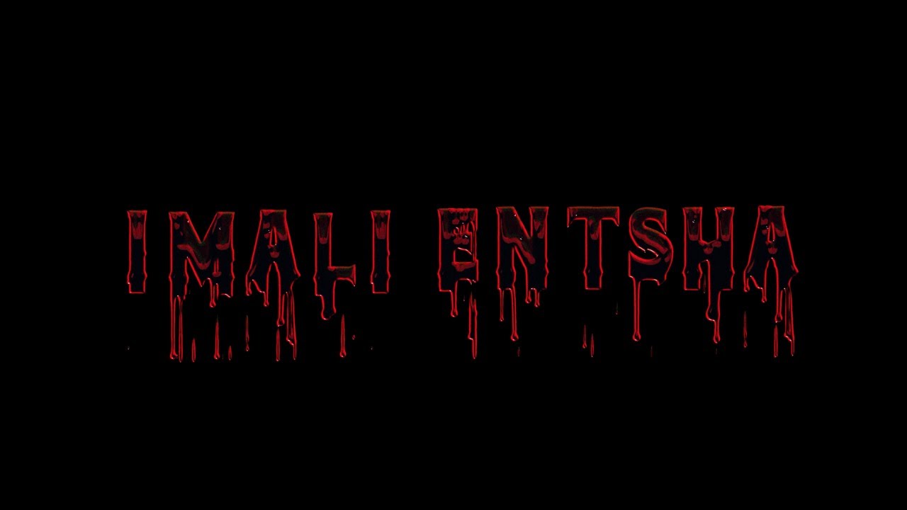 Blue Pappi - Imali Entsha (Official Visualizer)