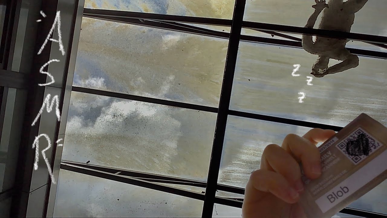 Advanced ASMR at school (10 subscribers special 🤑)