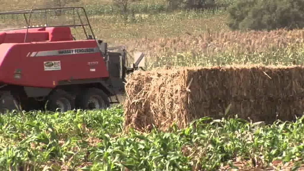 Australian Country Choice Video