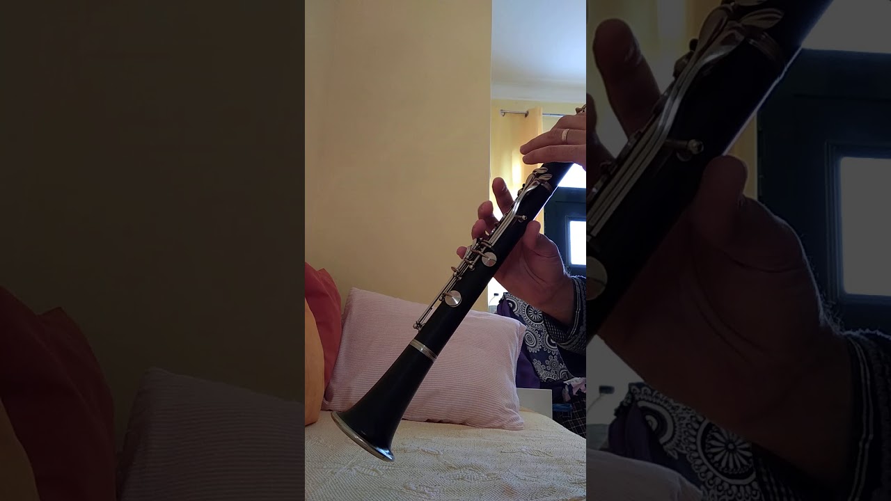 Testing a Vintage wood Noblet 