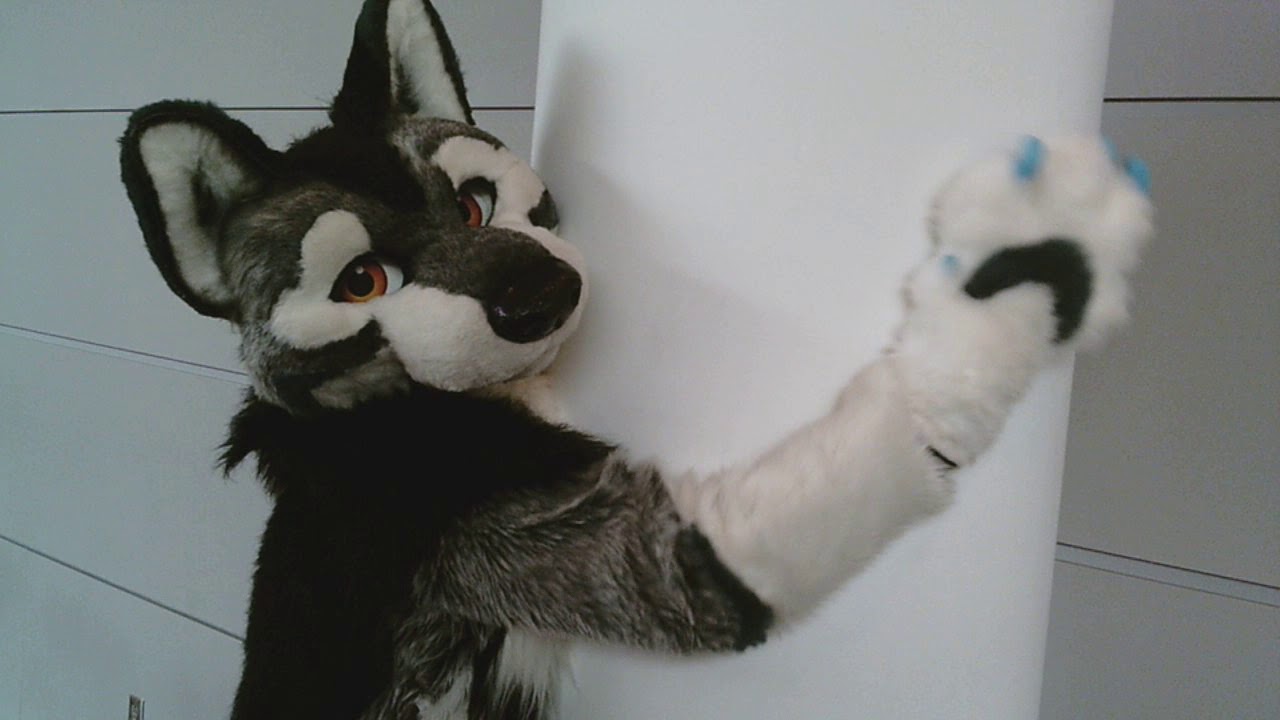 Chipper the Cheeky Wolf!