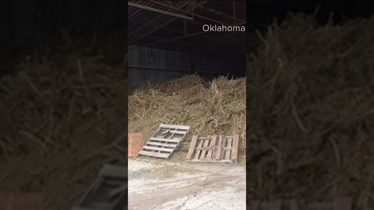 72,000 pounds of weed found in metal barn in Oklahoma