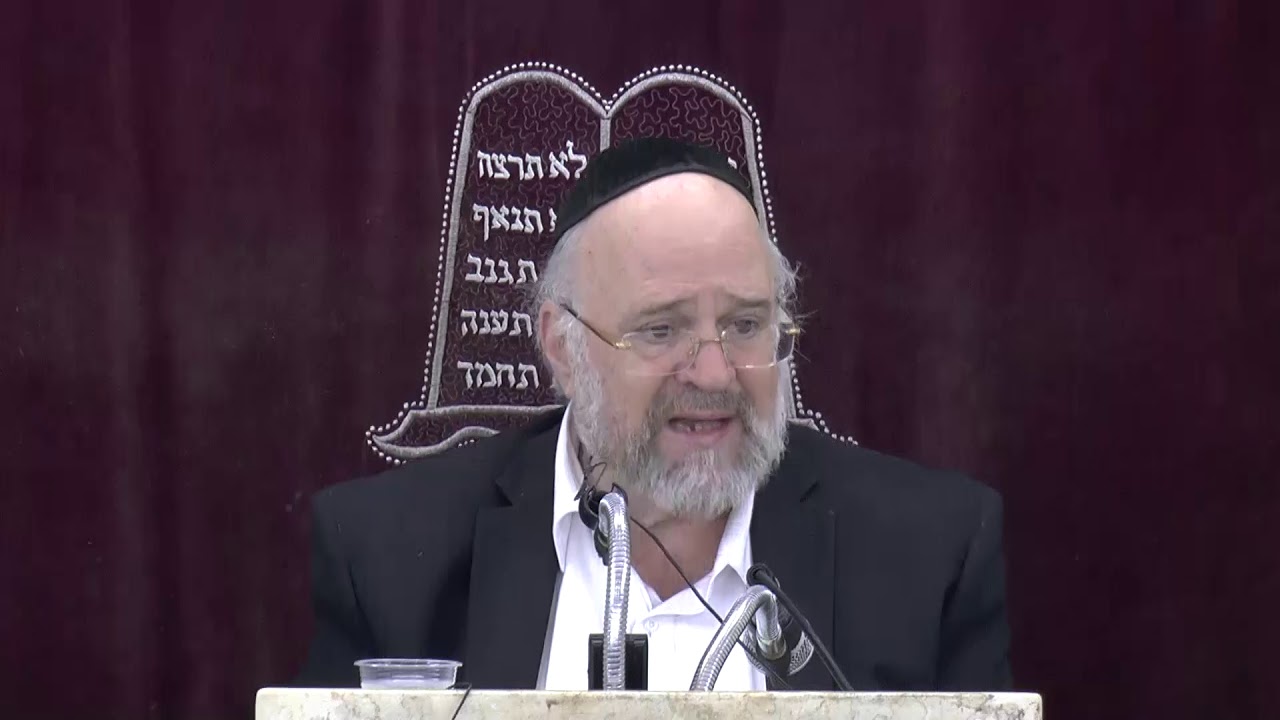 פרשת ויקרא תשע