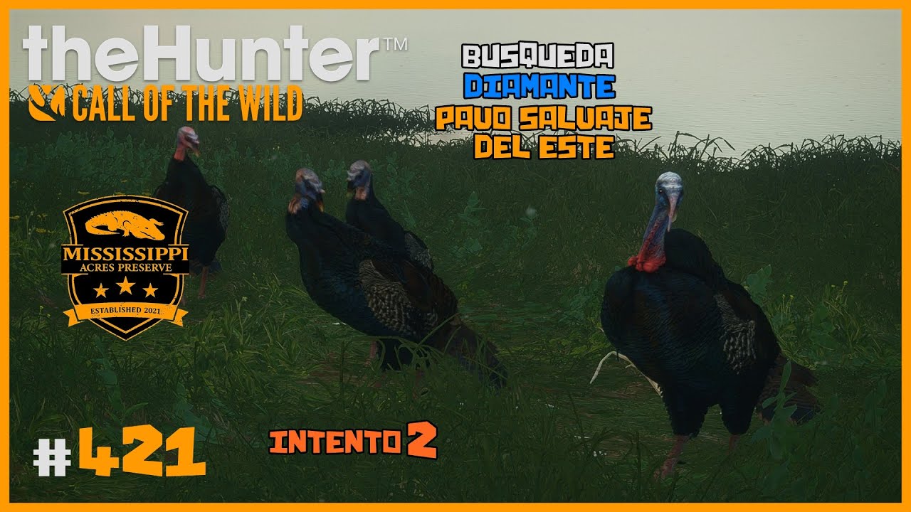 🦌theHunter: CotW #421 | EN BUSCA DEL DIAMANTE DE PAVO SALVAJE DEL ESTE - INTENTO 2 | Español