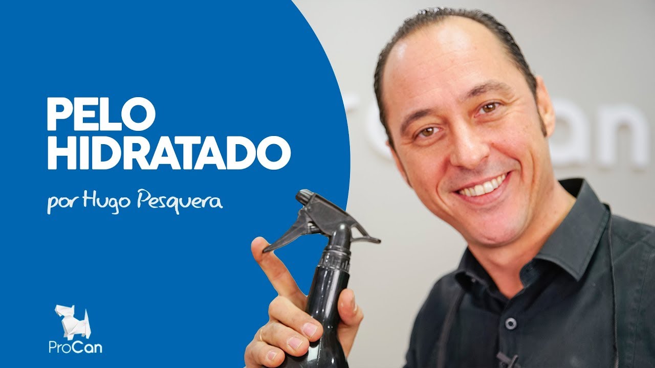 MANTEN EL PELO DE TU PERRO SANO E HIDRATADO | PELUQUERIA CANINA | HUGO PESQUERA
