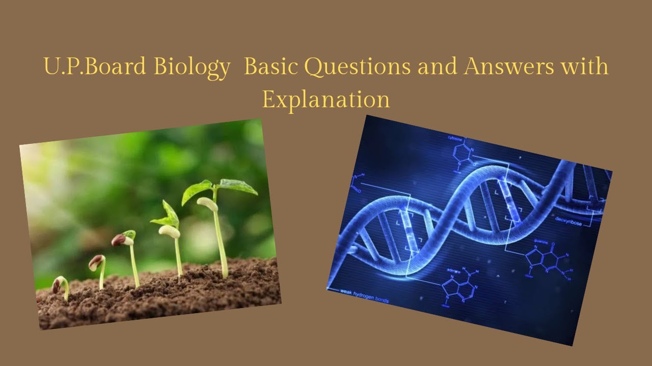 Basic questions and answers of  Biology with explanation Part-2