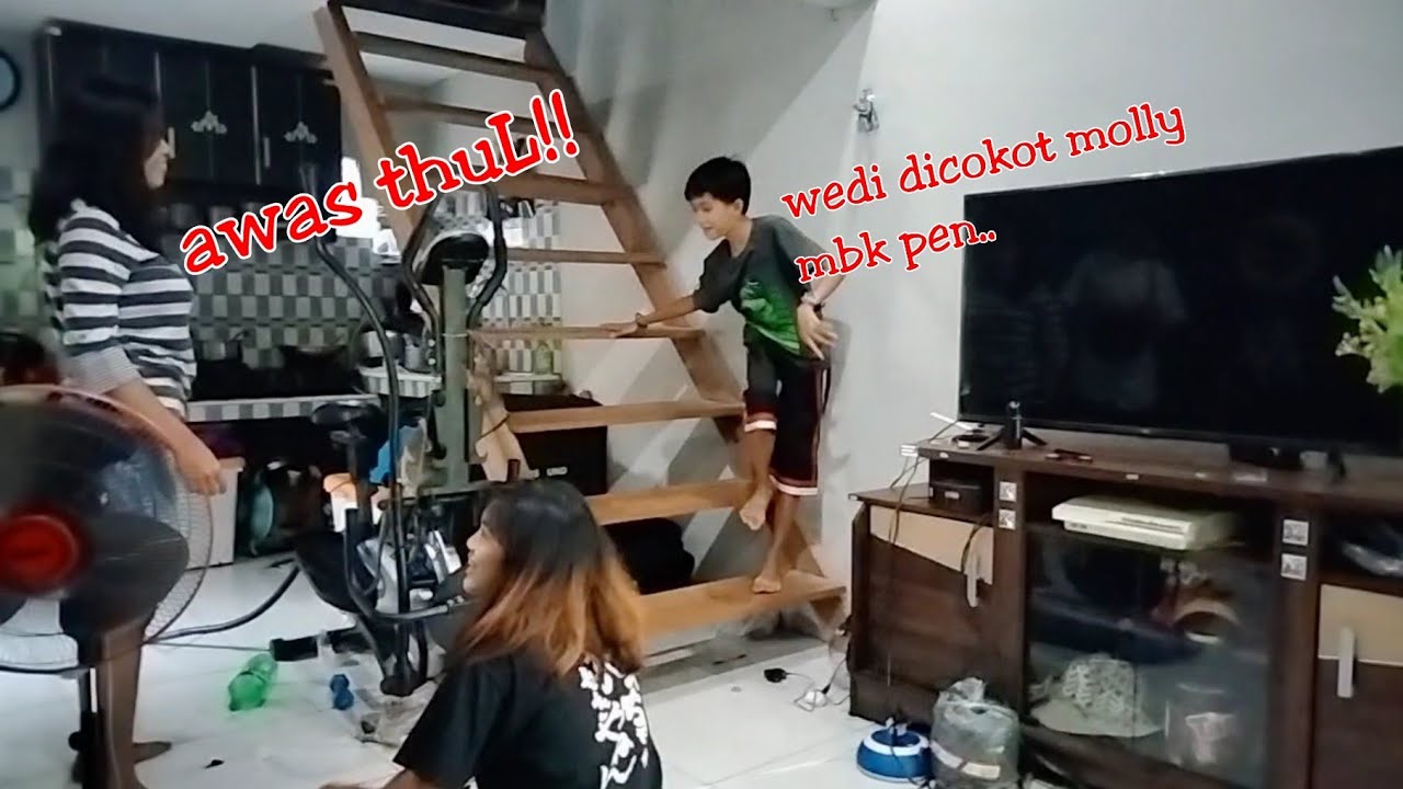 Ada apa antara EnthuL,Nemo&Molly?!