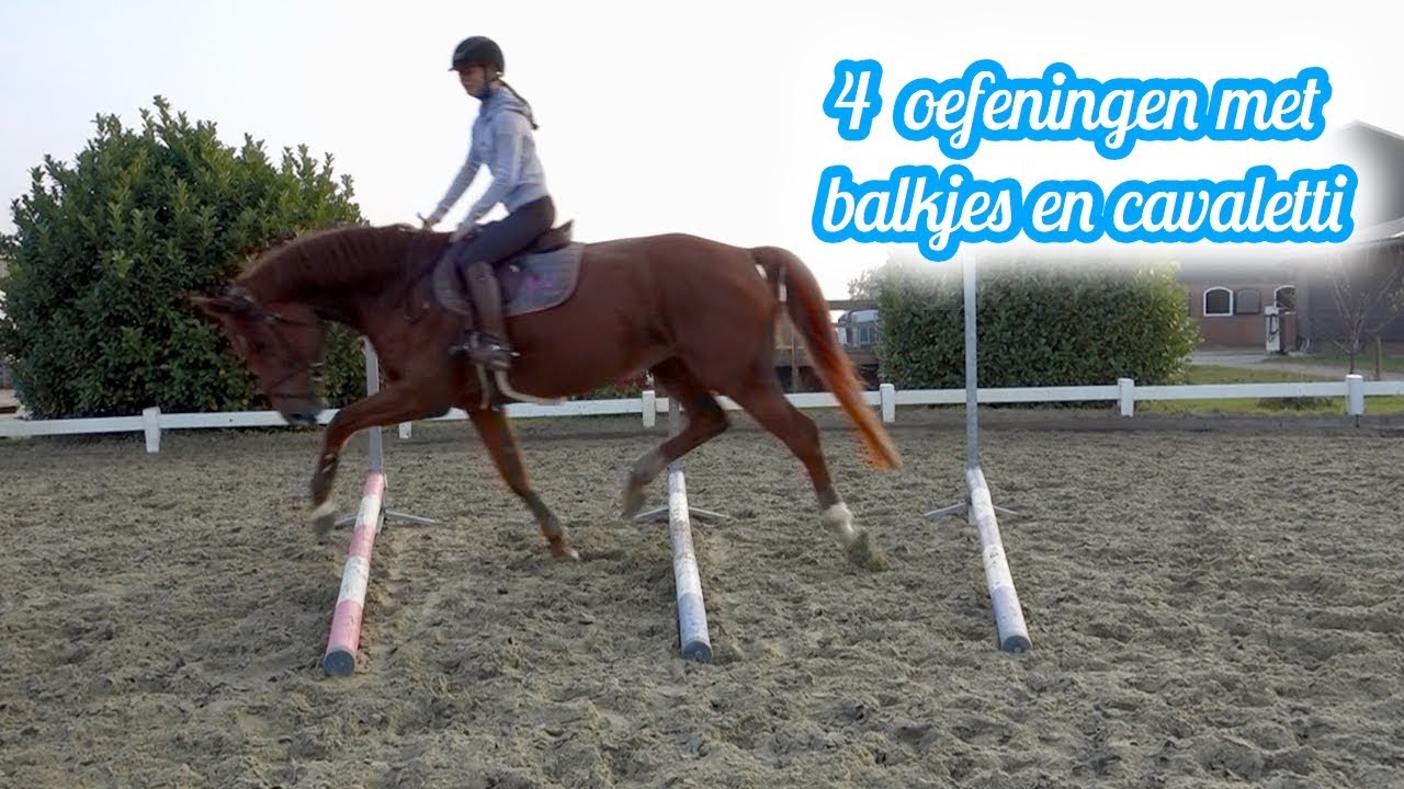 Balkjes en cavaletti: 4 verschillende oefeningen (2019) | Demi van Nikkelen Kuijper