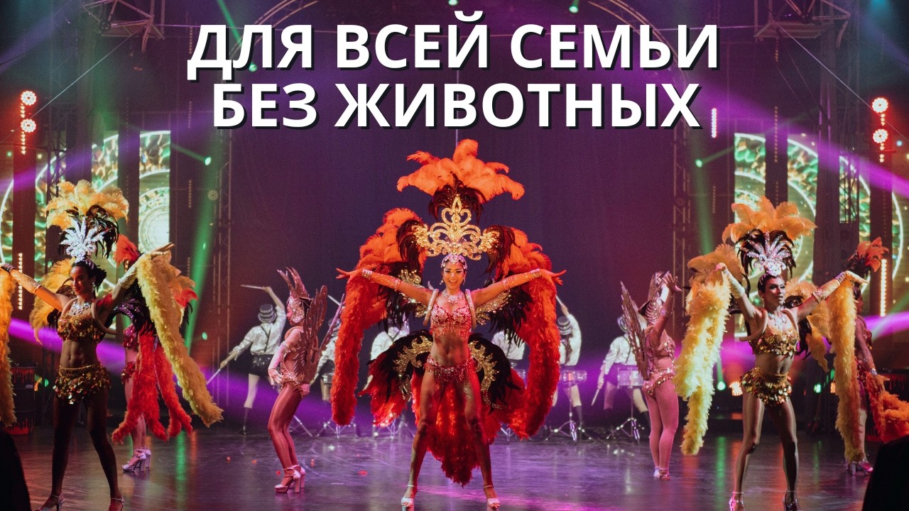 Думали, вы видели цирковое шоу? Вы не видели наше!