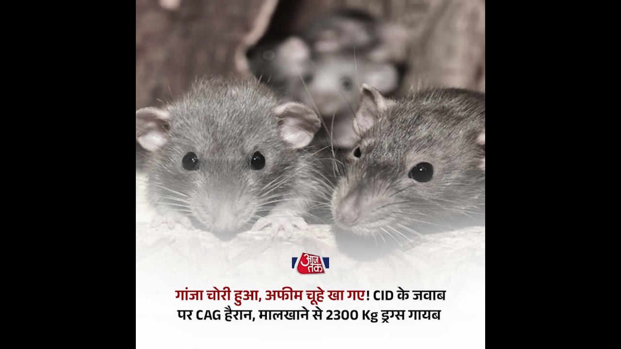 Aam Aadmi Party will become the nemesis of BJP in Gujarat 🔥🔥 #aapgujarat