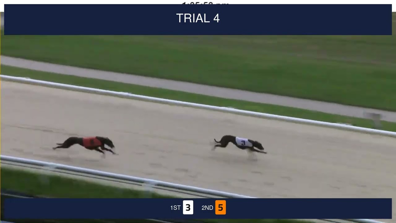 Central Park Trials on 12th February 2026