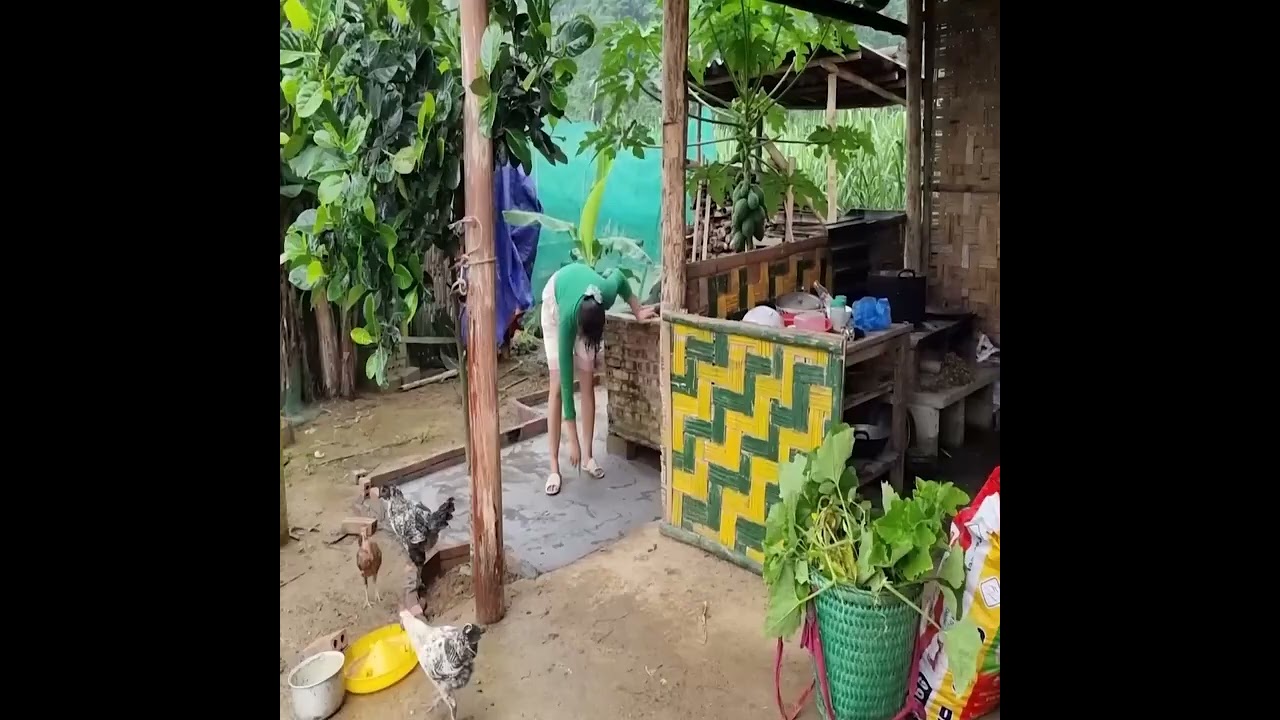Single Mother Builds a Life on the Farm to Raise Her Children 💪🌱