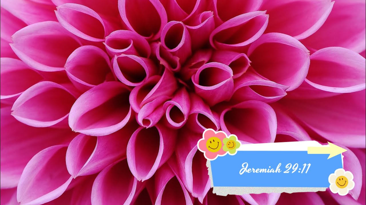 📖Jeremiah 29:11(💟Day 3)🌸Today’s scripture/Daily Reflection/Devotion/ Bible/Gospel/Prayer🙏🏻🕊️