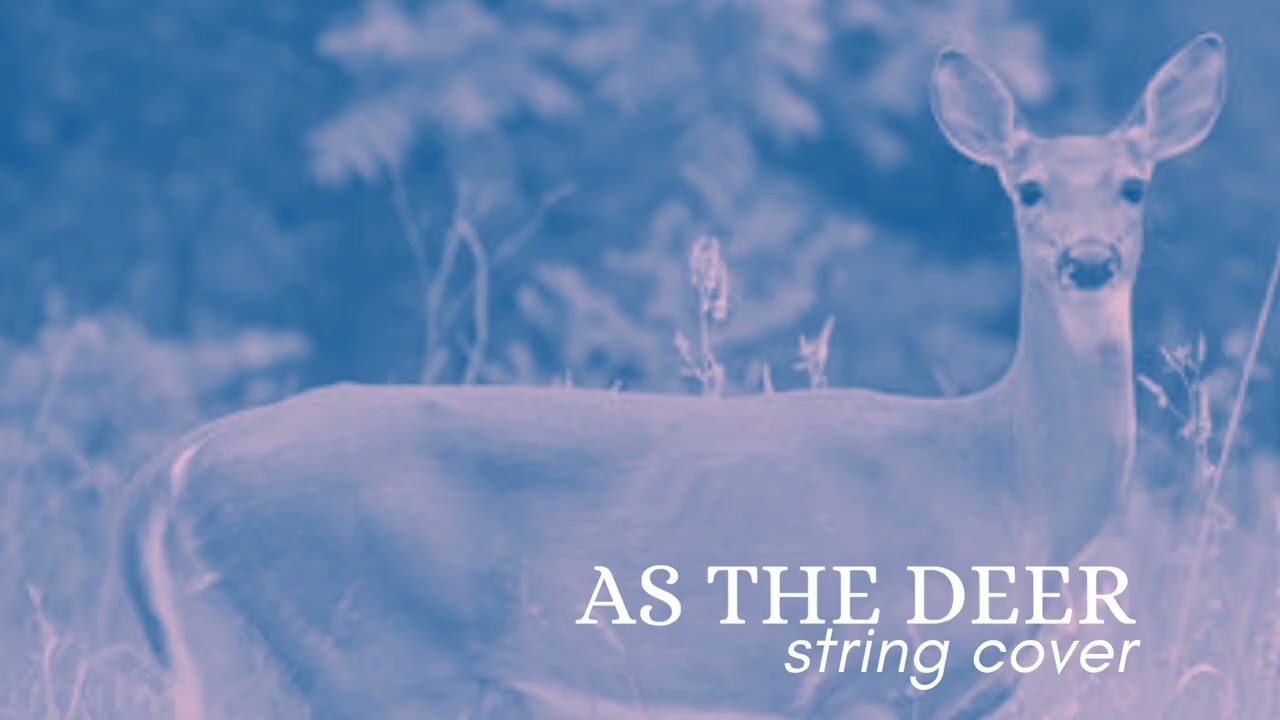 As The Deer – String Quartet Arrangement (Psalm 42 Inspired)