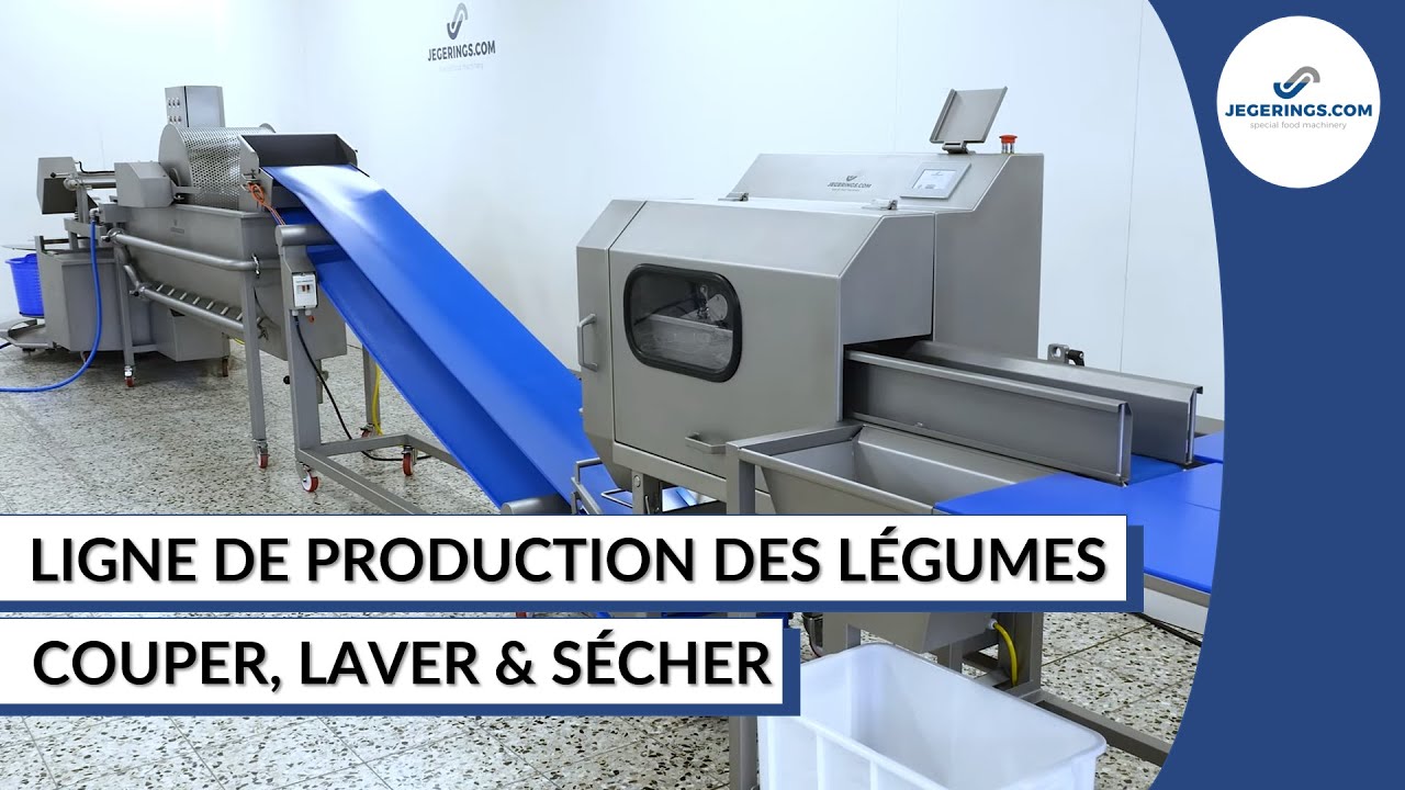 Ligne de Production Pour Couper et Laver des Légumes Pour Petites et Moyennes Capacité