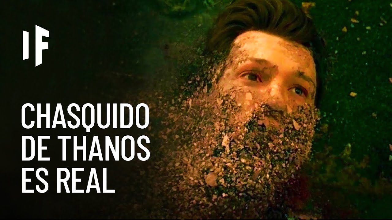 ¿Qué pasaría si la mitad de la población mundial desapareciera? (Avengers Endgame en la vida real)