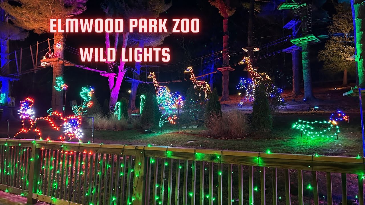 Elmwood Park Zoo Wild Lights