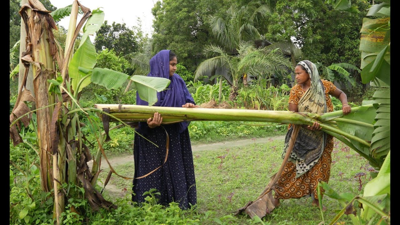 হঠাৎ ঝড় বৃষ্টিতে তে আমাদের অনেক ক্ষতি হয়ে গেছে | Village life with Shampa