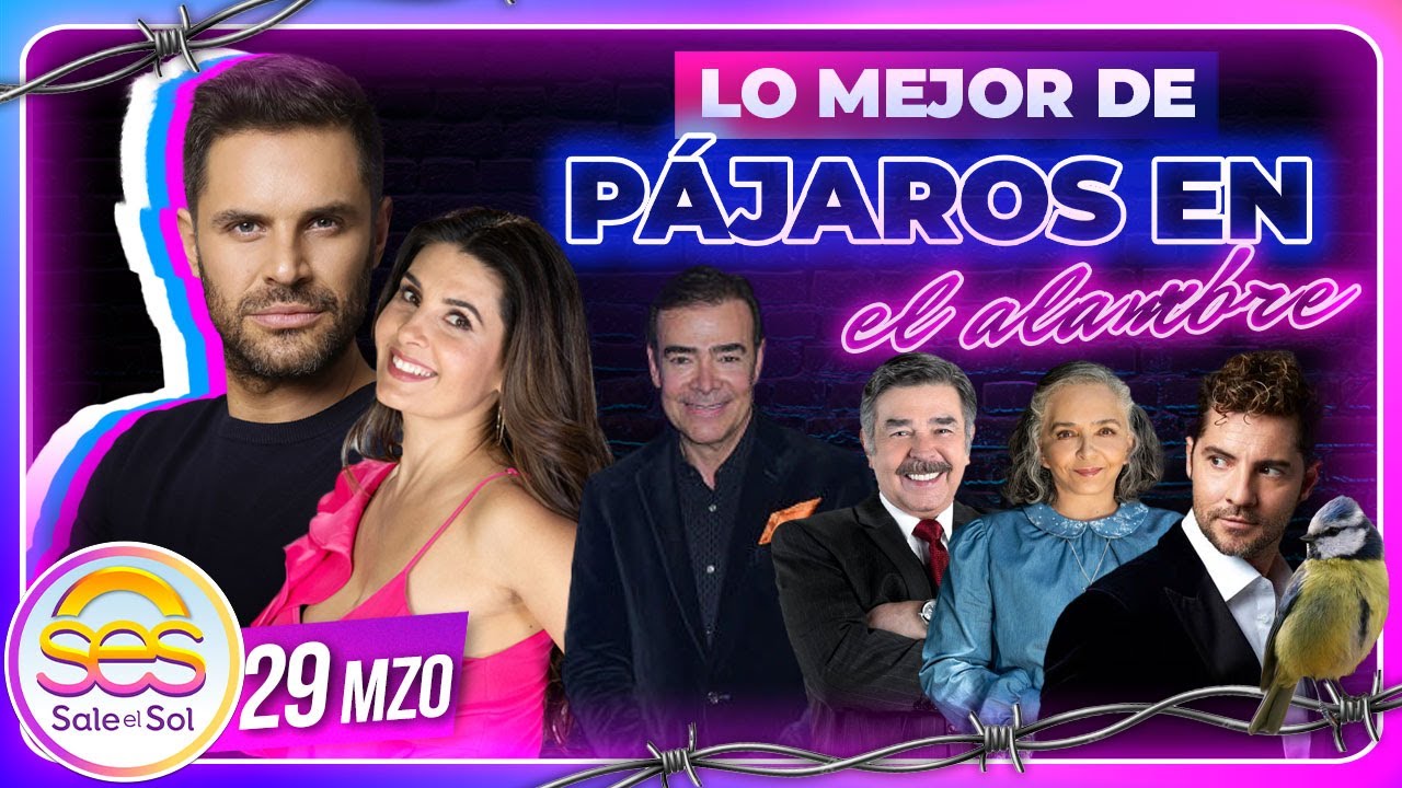 Mark Tacher, Mayrín Villanueva, Toño Mauri, Ana Martín | Lo Mejor de Pájaros | 29/03/2024