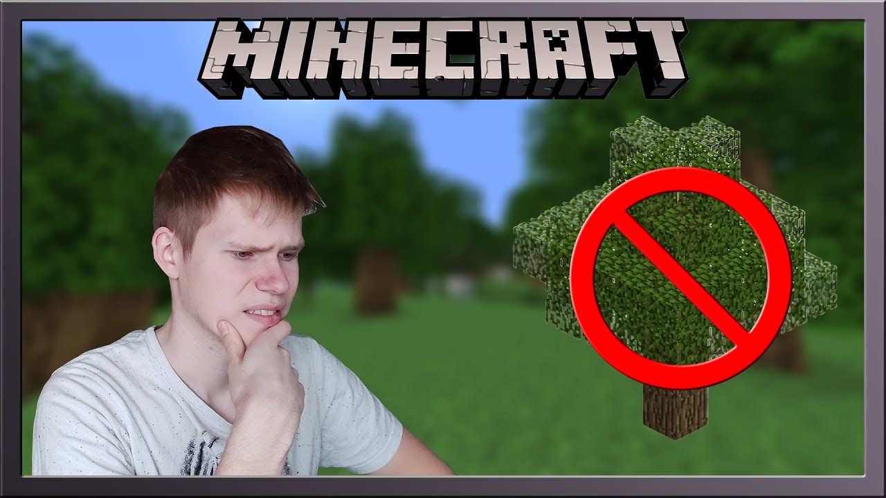 AR ĮMANOMA PEREITI MINECRAFT NEIŠKERTANT MEDŽIO?