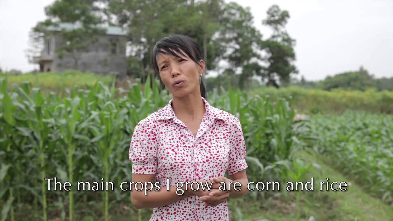 Alleviating Poverty in Vietnam