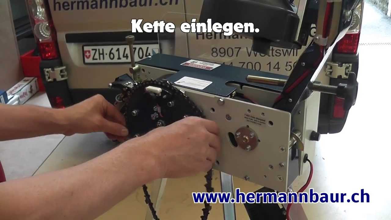 Einstellungen Dinasaw T-Rex