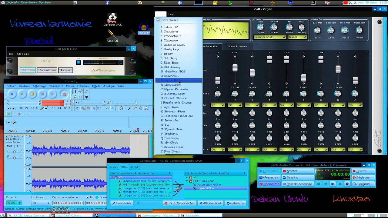 Bluesitestdid - Calf Studio Gear Organ / Linux
