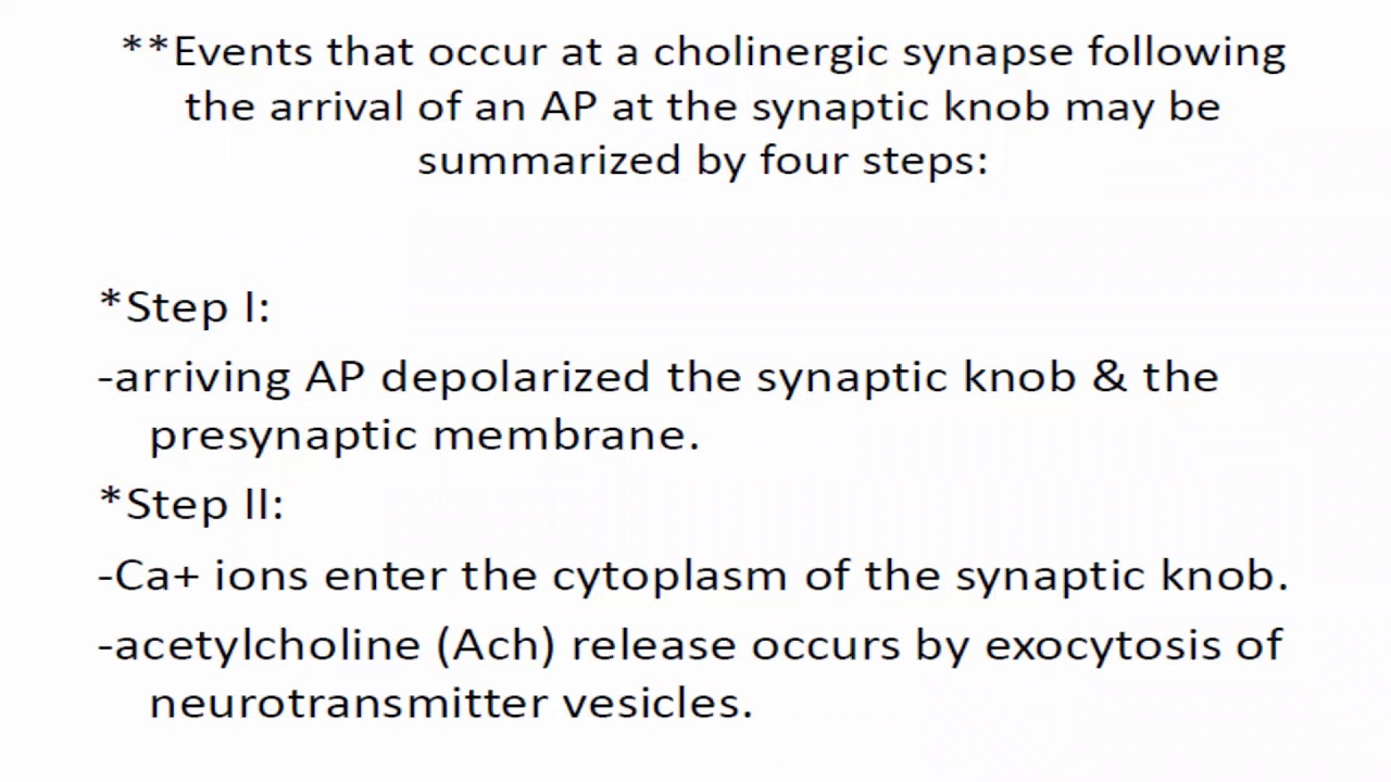 10 1 2021 Part2 Physiology