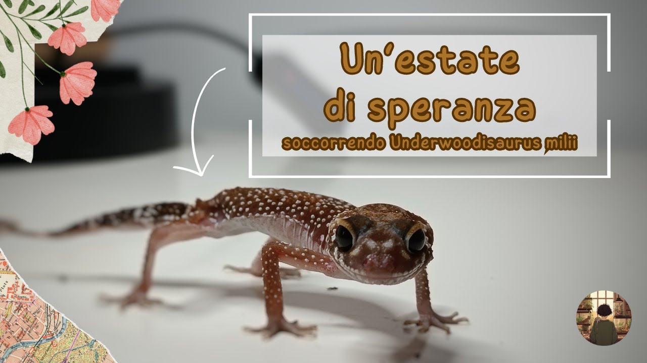 Un'estate di speranza: soccorrendo Underwoodisaurus milii