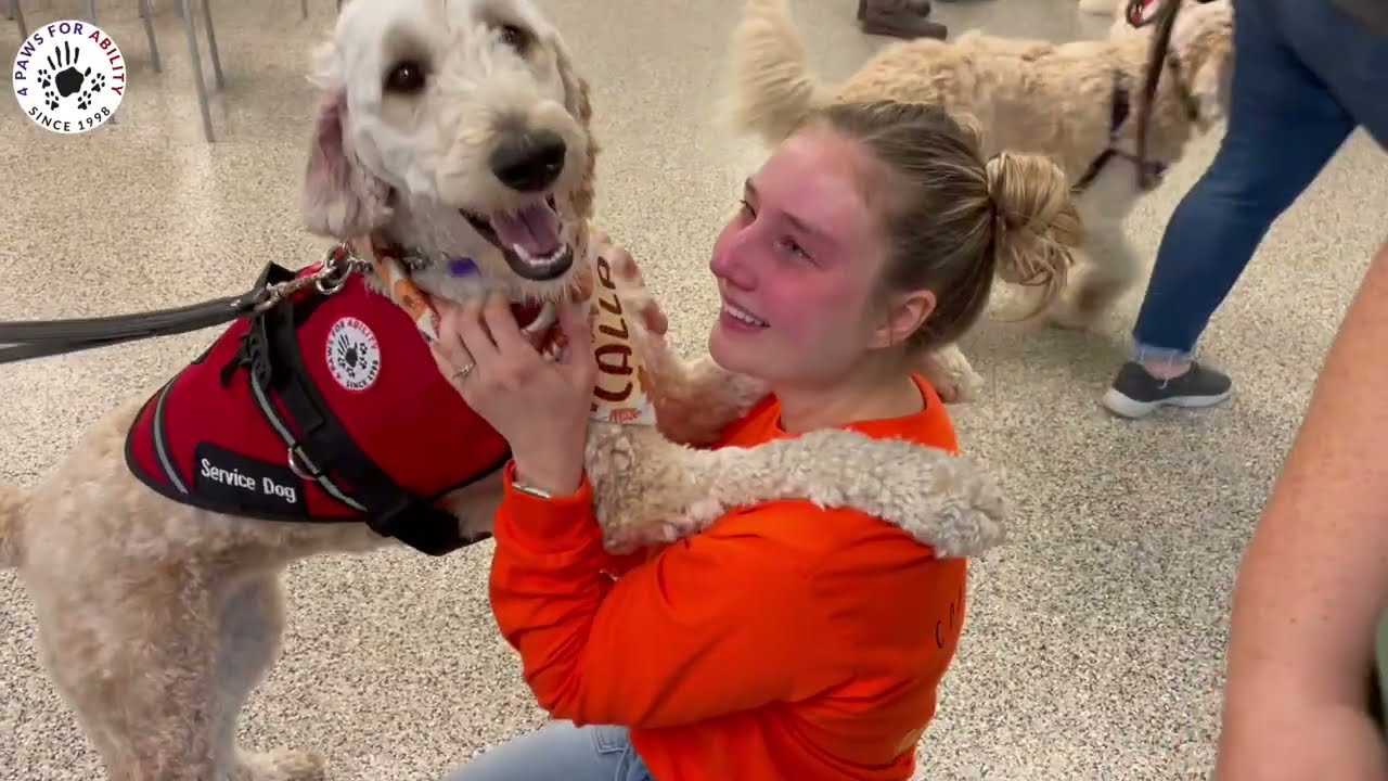4 Paws for Ability