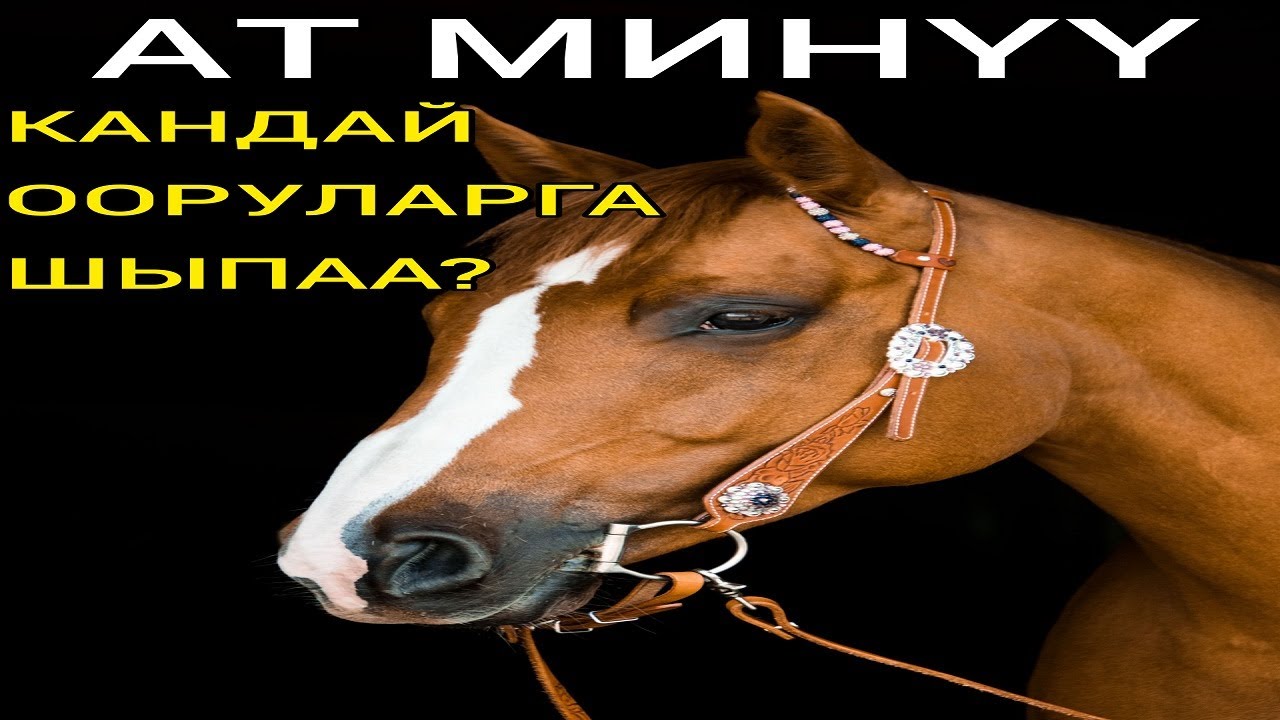 Ат минүү кандай оорулардан арылууга жардам берет? Эркектер үчүн чын эле пайдалуубу?