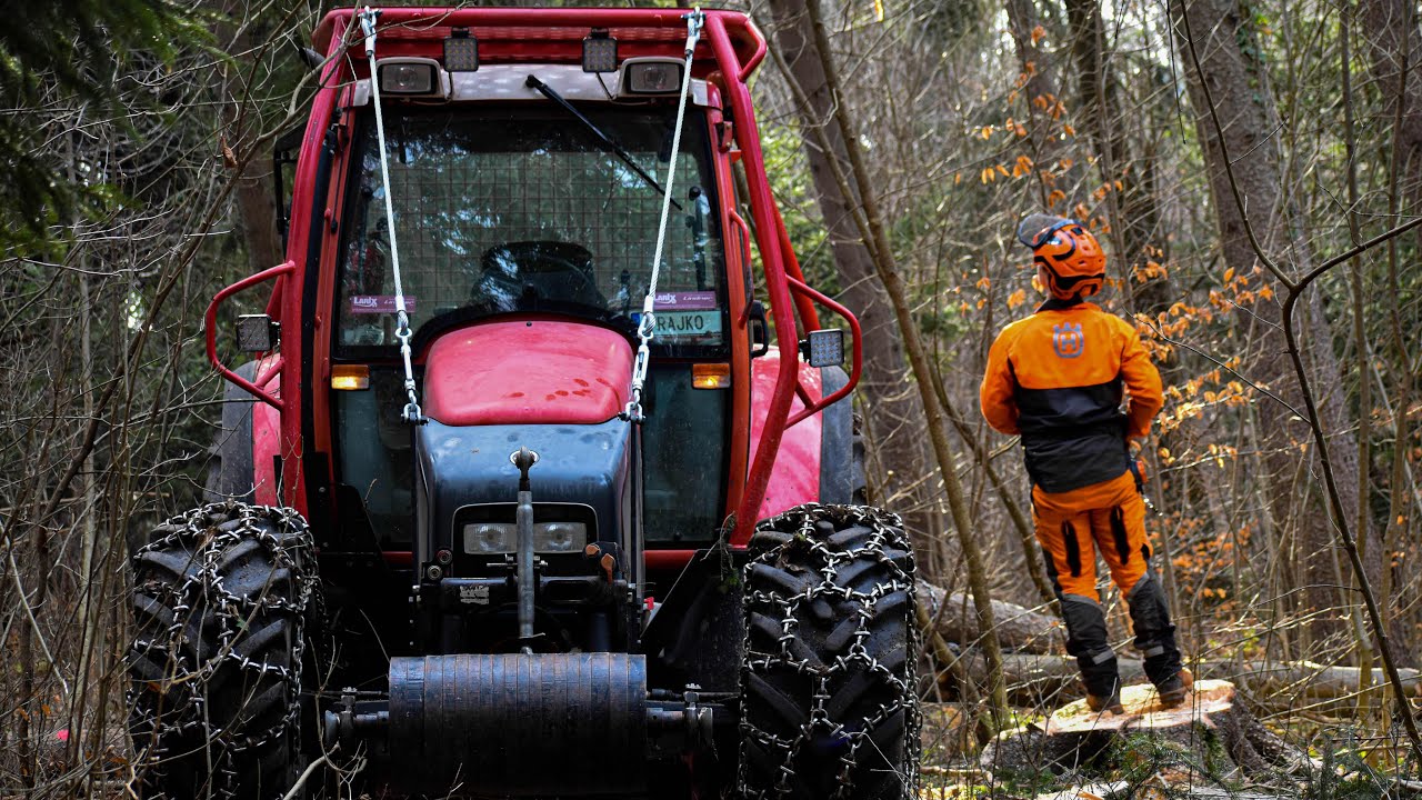 ⭐SEČNJA IN SPRAVILO LESA || FORESTRY || KULMAN 🌾2022 ✔