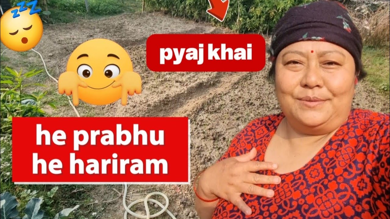 प्याज यसपाली कता गयो भन्छु बारी त रातै के बैराग लाग्ने🙄 गोपी हेरेर मन भुलाउदै #vegetables #vlog 