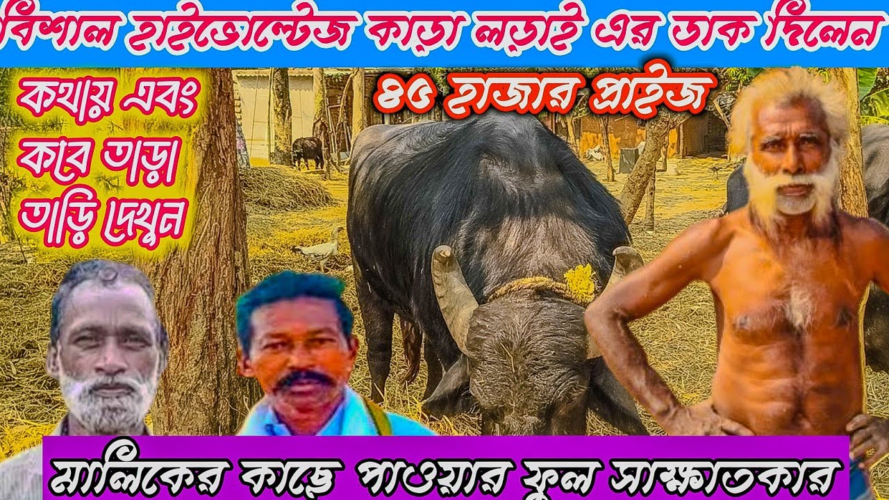 ঝাড়খন্ড টাইগার বিশাল হাইভোল্টেজ কাড়া লড়াই এর ডাক দিল কবে এবং কোথায় তাড়া তাড়ি দেখুন @gayermela