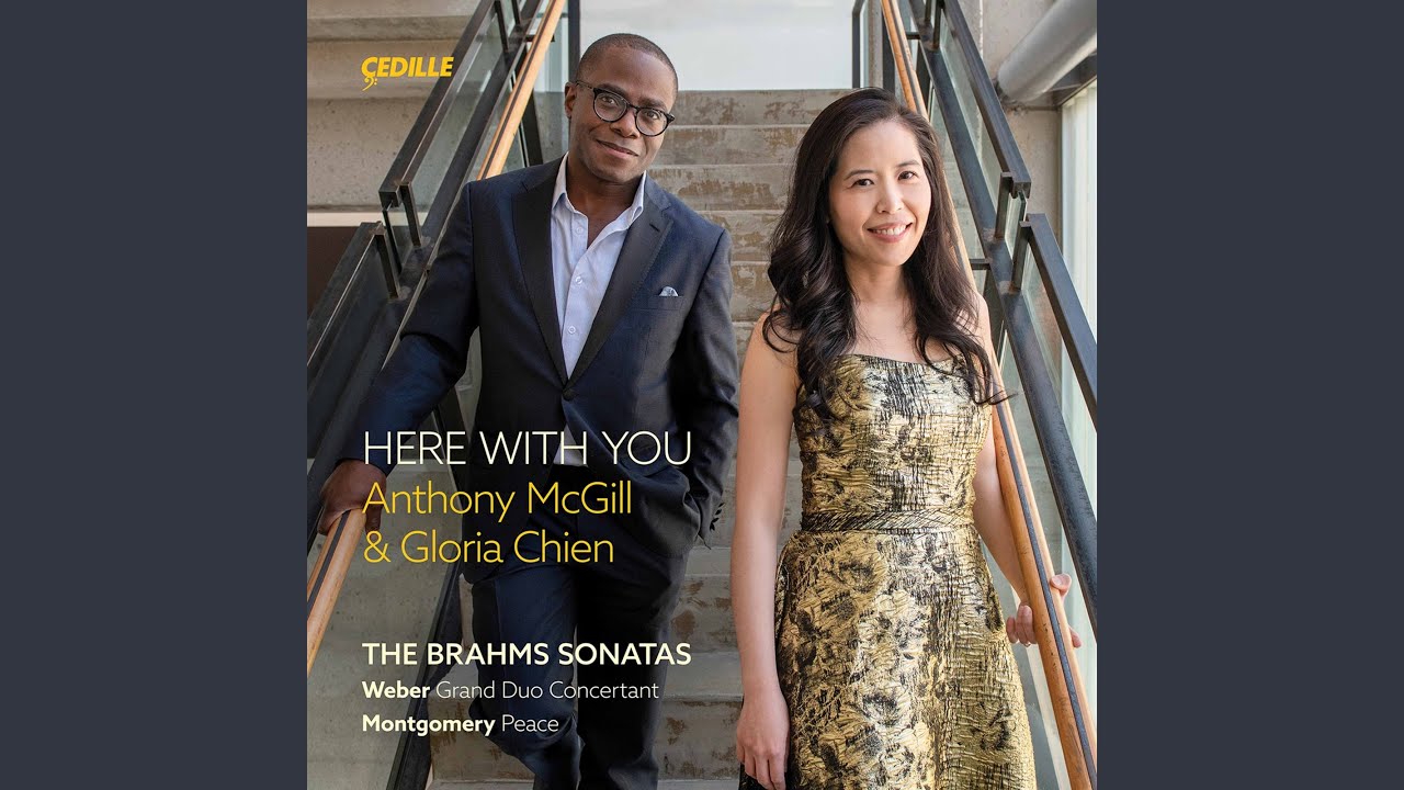 Clarinet Sonata No. 1 in F Minor, Op. 120 No. 1: I. Allegro appassionato