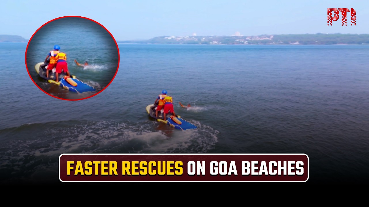 Seahorse rescue stations deployed to boost safety on Goa beaches