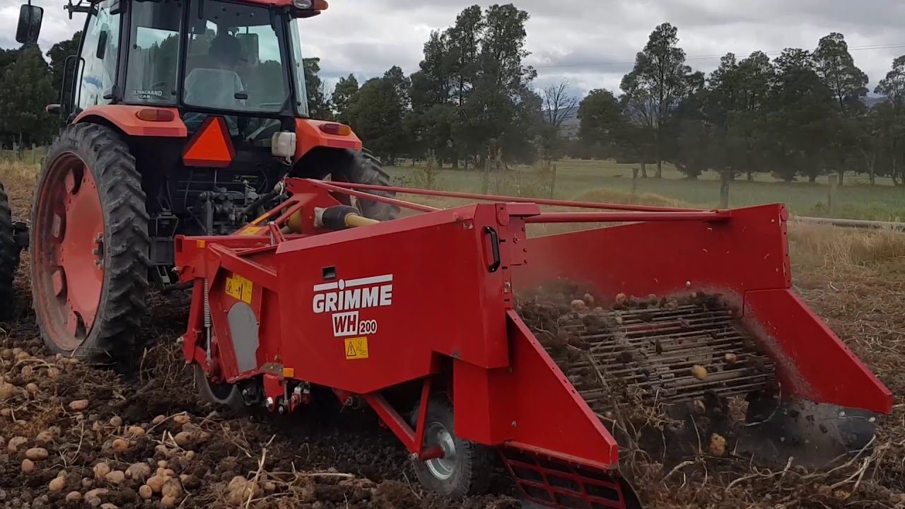 Cosechadora GRIMME WH 200C