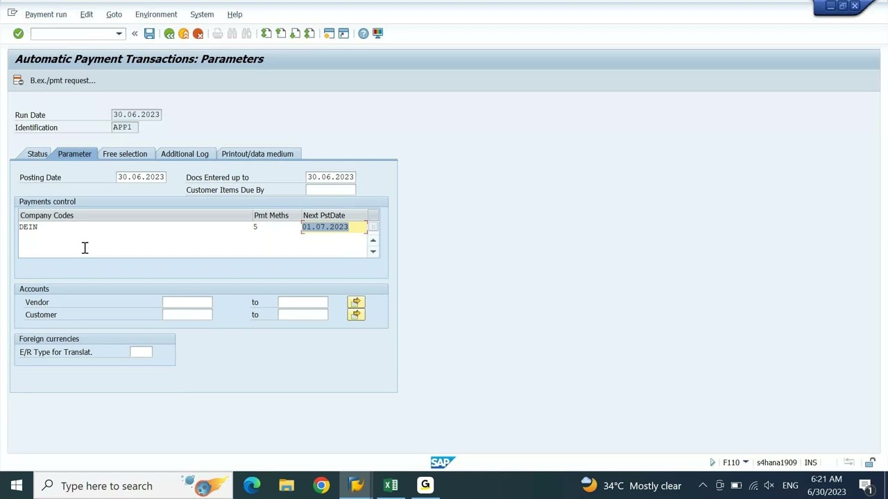 SAP FICO ENGLISH S4HANA: AUTOMATIC PAYMENT PROGRAM (APP) - 02