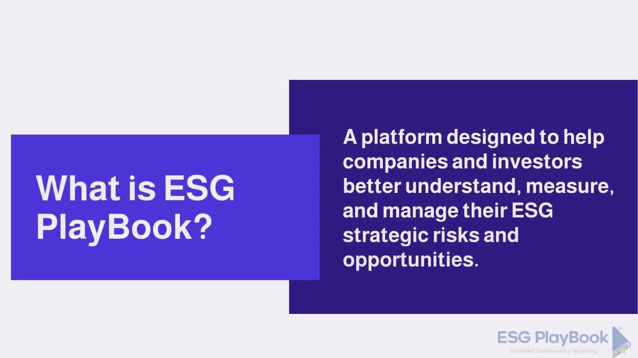 What is ESG Playbook  -  Build a Sustainable Advantage (2023)
