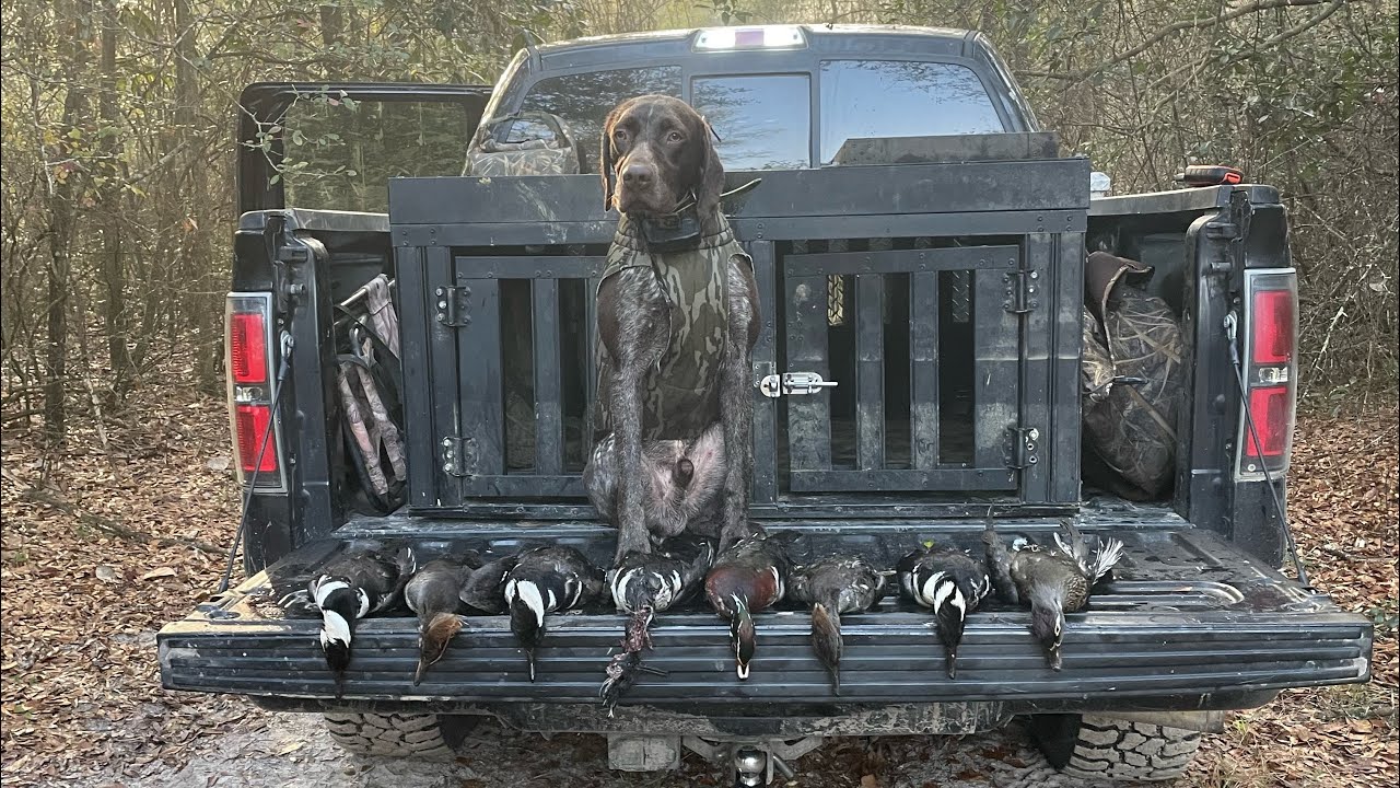 Youth Duck Hunt-Two brothers after some birds! #duckhunting #youthduckhunt #woodducks #youthhunt 