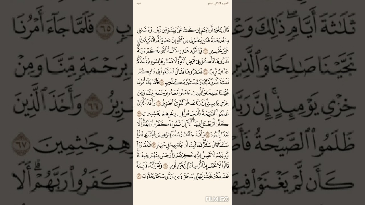 تفسير السعدي صفحة 229 سورة هود من الاية (63) الى الاية (71)