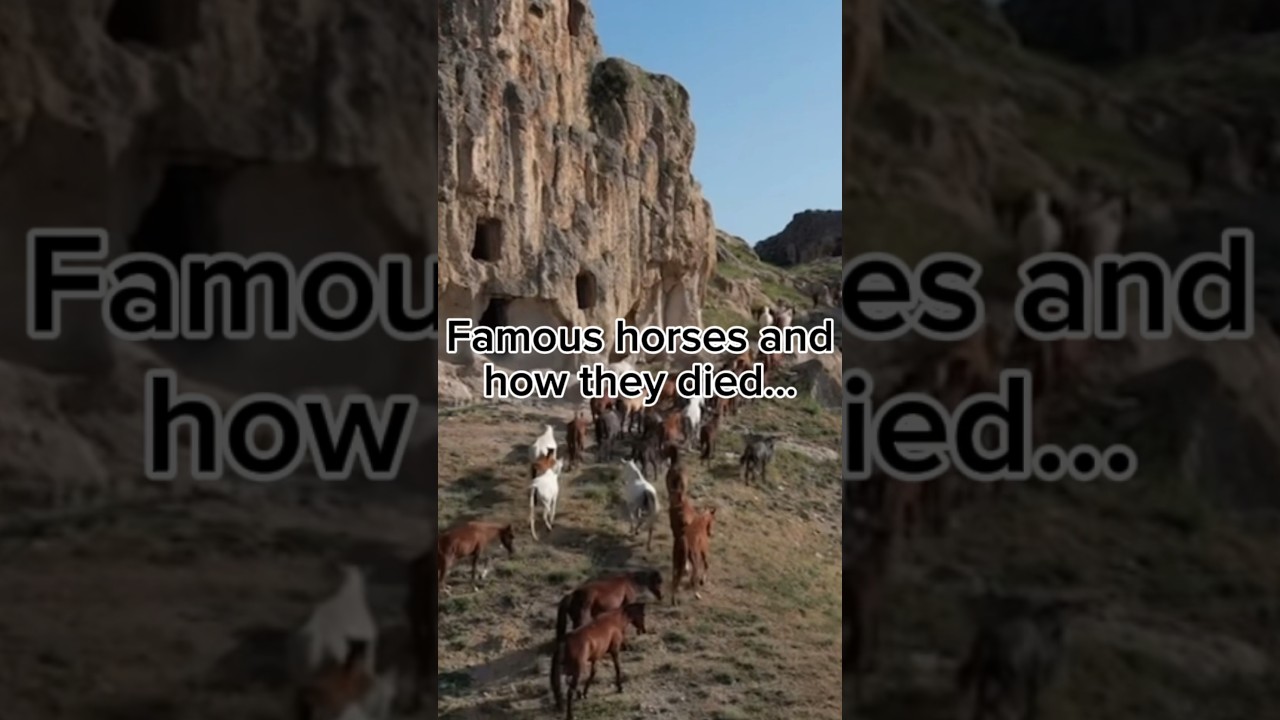 Famous horses and how they died… 