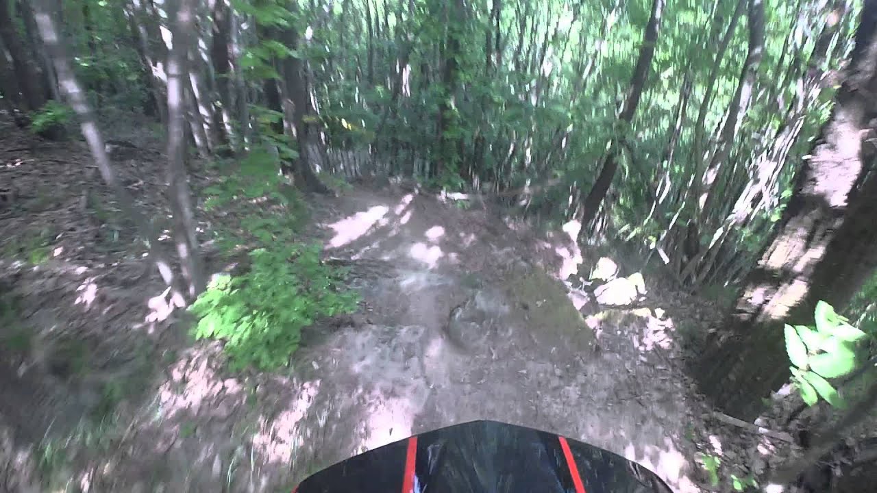 Priero 2015 - Ps1 training