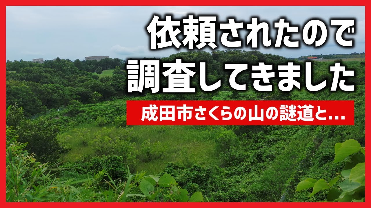 【廃道?】依頼されたので調査してきました～成田市さくらの山のケモ道？そして...