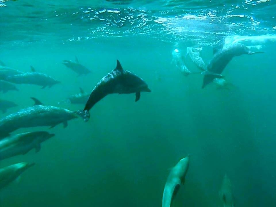 Sailing The World 3 - Panama to Ecuador
