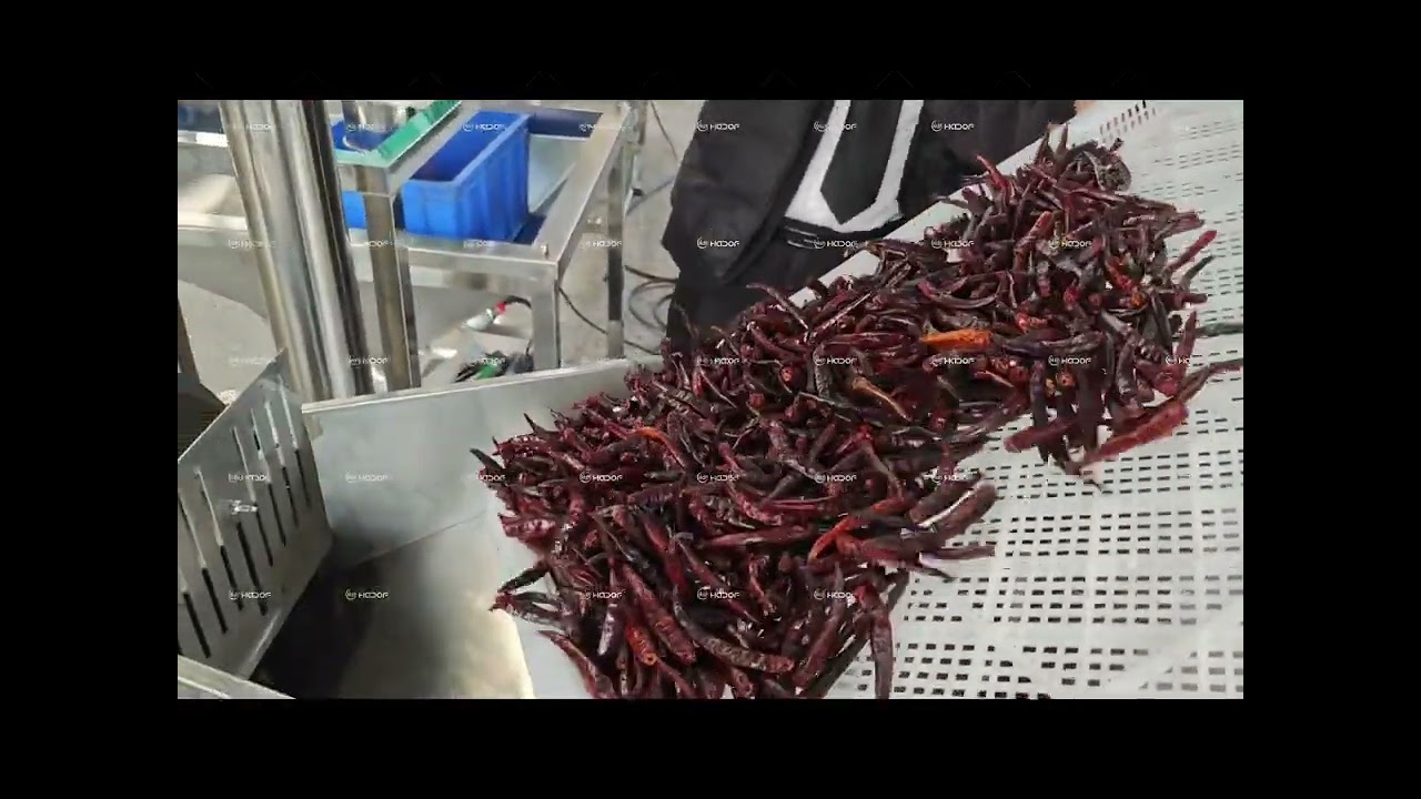 From Dried Chili to Fine Powder! 🌶️⚙️