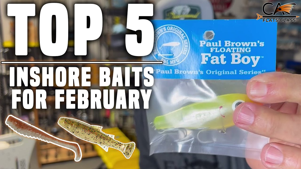 Top 5 Inshore Baits for February | Flats Class YouTube