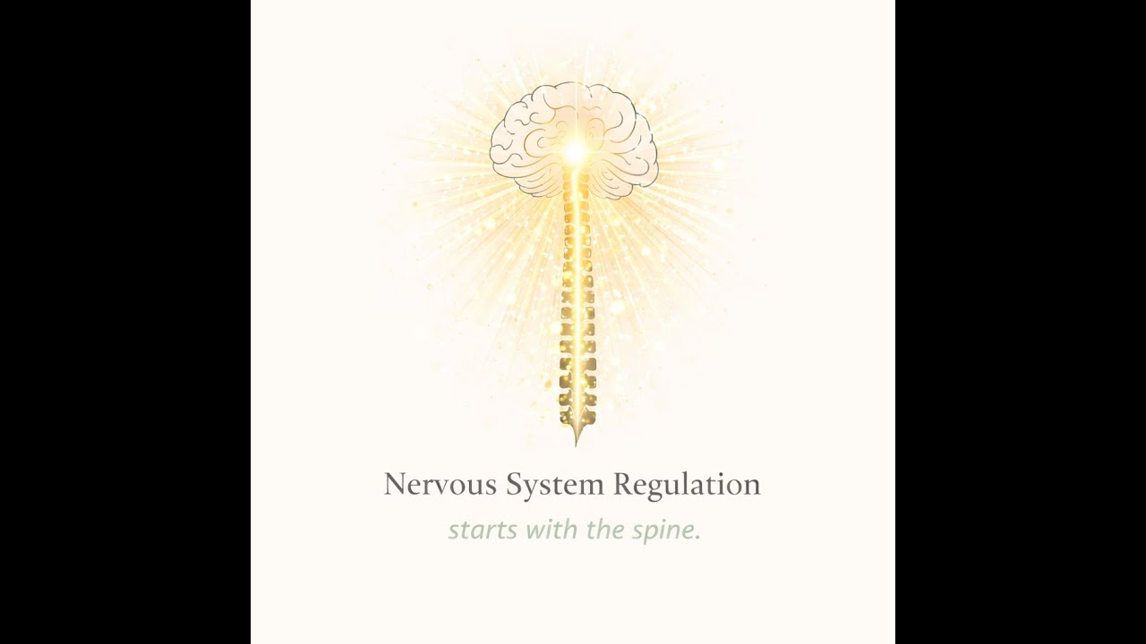 Nervous System Regulation for Lies