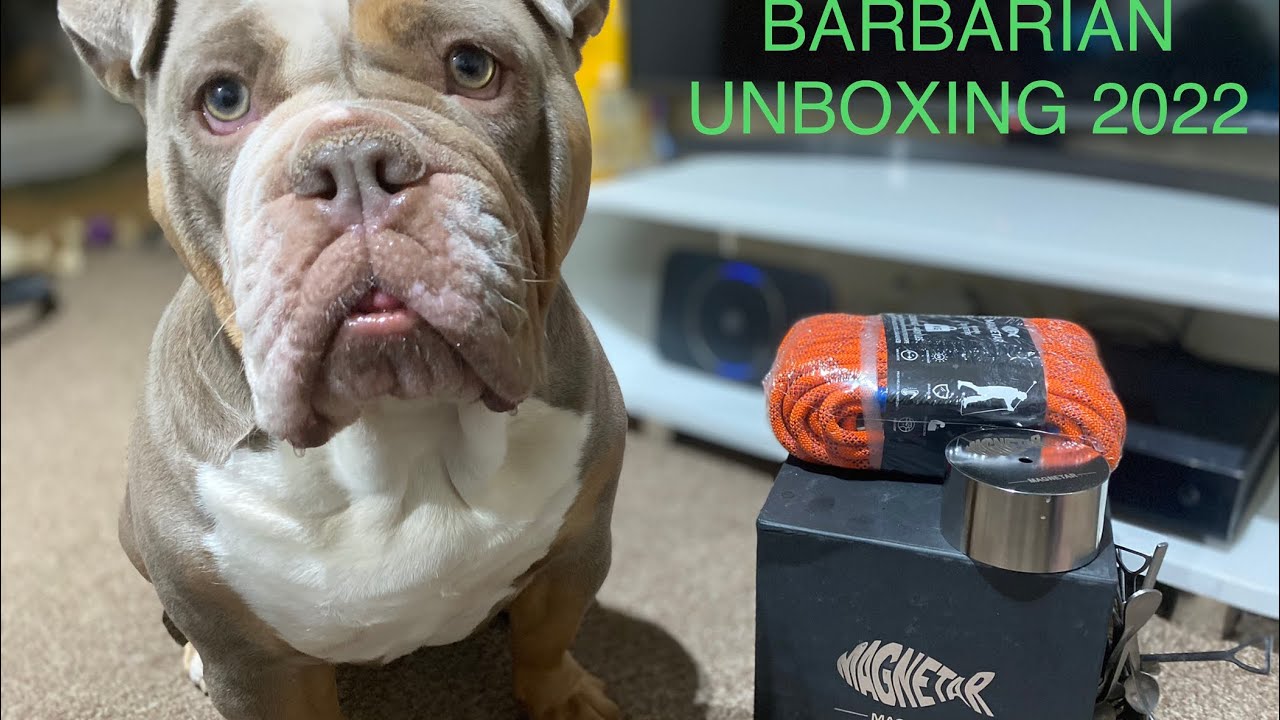Magnetar BARBARIAN Unboxing Fishing Magnet 2022 Best Value pound 4 pound